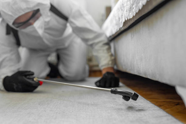 Professional Termite Control technician working in Panama, OK