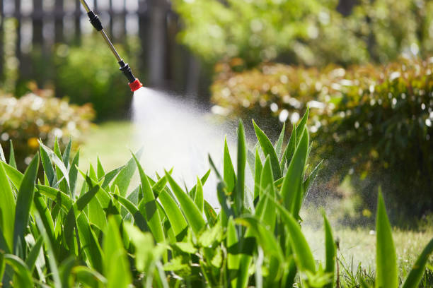 24/7 Emergency Termite Control experts in Panama, OK