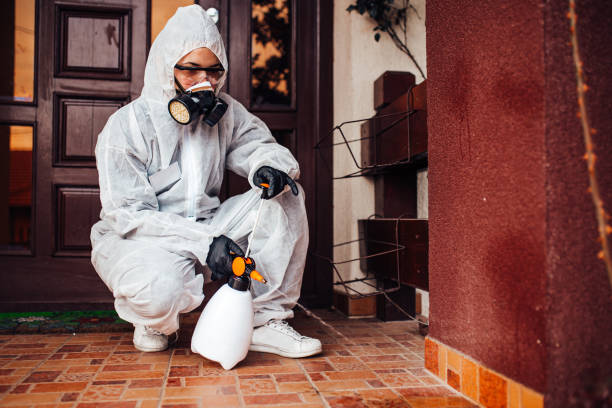 Reliable Termite Control contractor in Panama, OK by Nex Pest Control