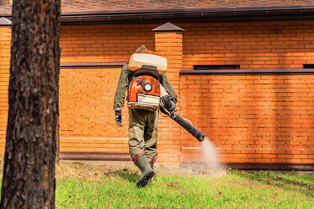 Top rated local Termite Control specialists in Panama, OK